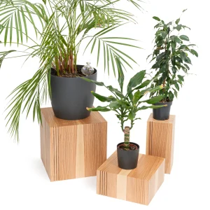 Podium de jardinière sur sol en cubes en bois (ensemble de 3)