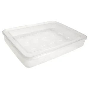 Boîte de transport pour 24 œufs farcis avec couvercle