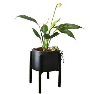 3 petits cache pot sur pied noir