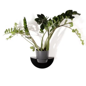 Étagère murale flottante en métal pour plantes (AVEC TROU)
