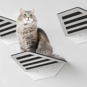 Étagères métalliques murales pour perchoir pour chat