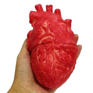 Faux Cœur