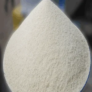 Gari Blanc Nature 1KG