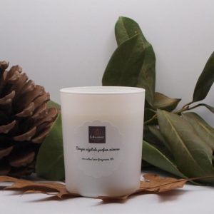 Bougie parfumée mimosa