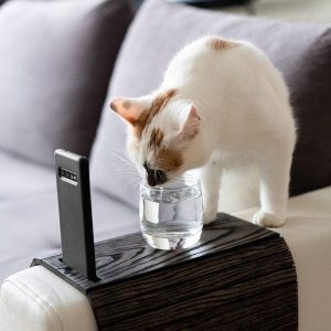 Table de plateau de bras de canapé en bois brûlé