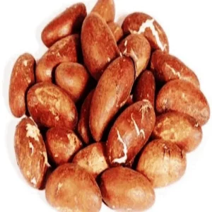 Petit cola / Bitter cola / Garcinia kola 100G